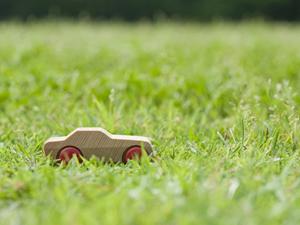 栃木で免許合宿をするならここへ