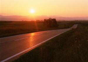 バイクの合宿免許をお考えの方へ
