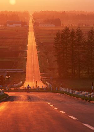 稲沢市で車検をお探しならこれを押さえよう!2026年最新の車検ガイド