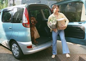 愛知県で見つける!高品質な未使用車の賢い選び方ガイド