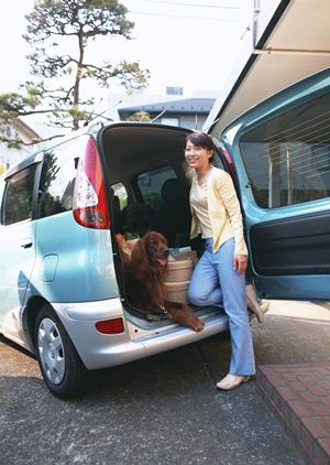高級感のある車体になるカーフィルム
